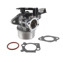 Carburatore BRIGGS ET STRATTON 799226