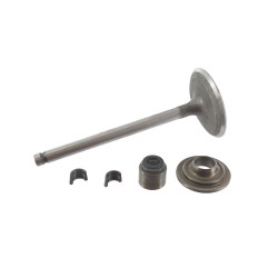 Valve intake BRIGGS ET STRATTON 791935