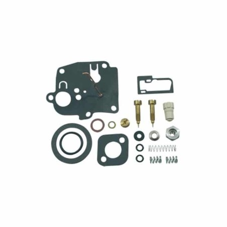 Kit membrane BRIGGS et STRATTON 494623