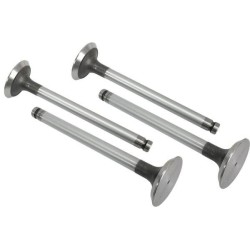 Auslassventil VAPORMATIC VPA1110