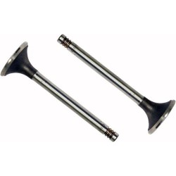 Auslassventil VAPORMATIC VPA1850