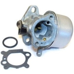 Carburettor BRIGGS et STRATTON 498170 - 494216 - 493422 -