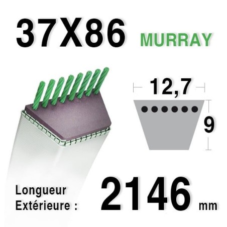 Courroie MURRAY 37X86 - 037x86MA - 3700086 pour 38 LT