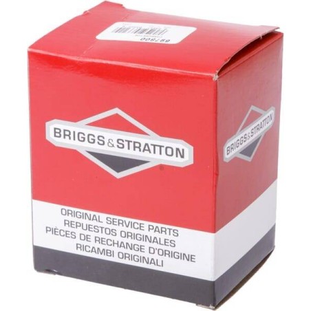 Carburateur BRIGGS ET STRATTON 697800
