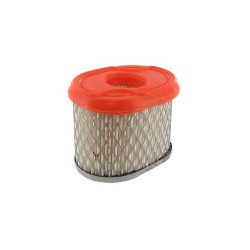 Filtro aria BRIGGS ET STRATTON - PUBERT 796970