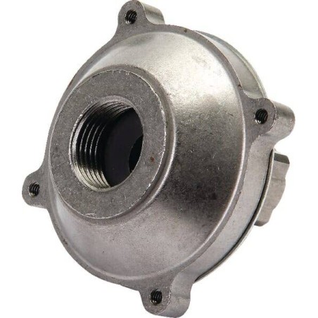 Acoplamiento BRIGGS ET STRATTON 393127S