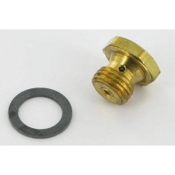 Vite BRIGGS ET STRATTON 493637