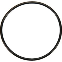 O-Ring CNH 86012299