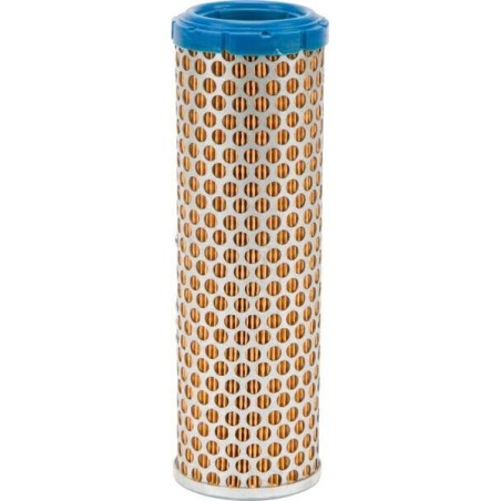 Filter FLEETGUARD AF1961