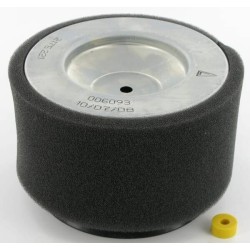 Luftfilter LOMBARDINI 2175254