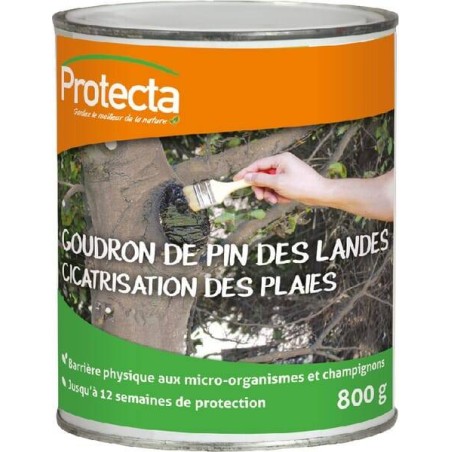 Goudron des pins PROTECTA PVCIC02010