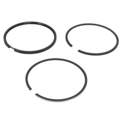Piston ring set set Std LOMBARDINI 8211009