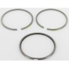 Piston ring set set Std LOMBARDINI 8211141