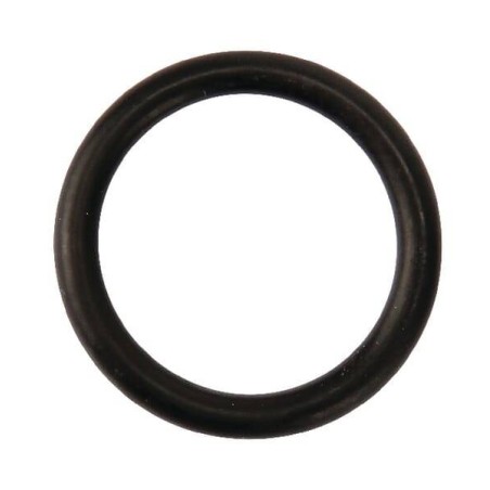 O-RING 19x3 FELLA 127372