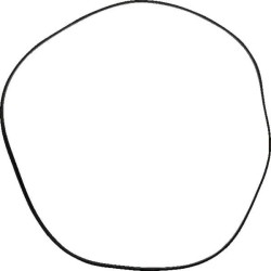 O-Ring HATZ 03795100