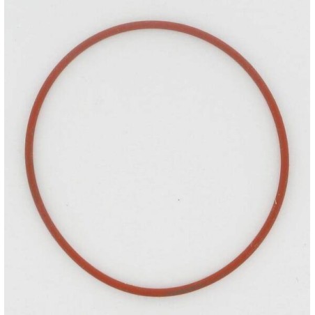 O-ring LOMBARDINI 1200234