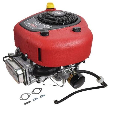Motor BRIGGS ET STRATTON 21R8770014B5