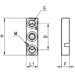 Placa CAMOZZI CNVL4P