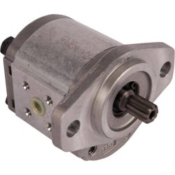 Pompe GOLDONI 02030515