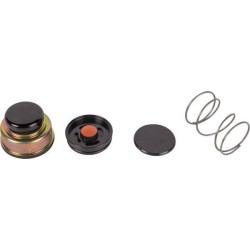 Priming pump SDF 090015929