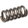 Spring PEERLESS P792003
