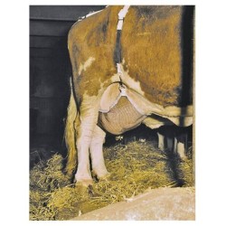 Filet de protection des pis taille XL KERBL 1579060418