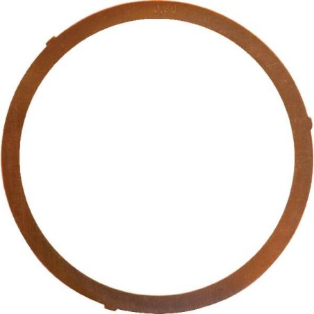 Anello 0,80 LOMBARDINI 4730119