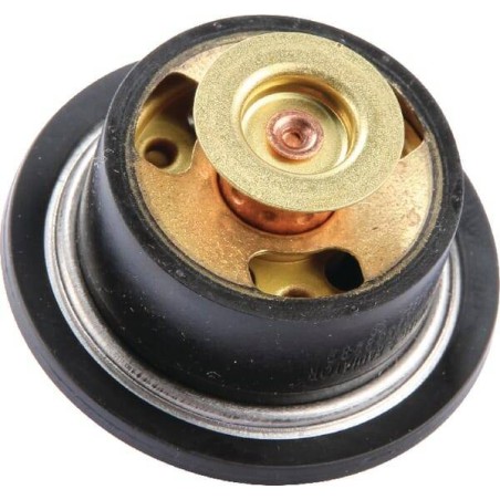 Thermostat CLAAS 0011391450
