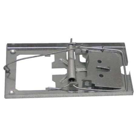 Ratones BROS 1704181404