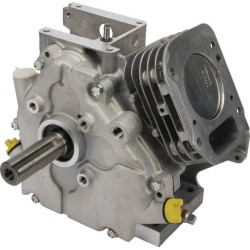 Shortblock BRIGGS ET STRATTON 699585