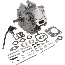 Bloque y componentes BRIGGS ET STRATTON 699582