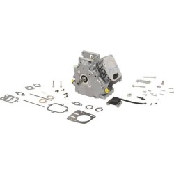 Bloque BRIGGS ET STRATTON 699579