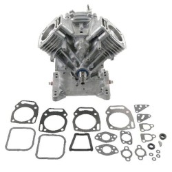 Modello BRIGGS ET STRATTON 496240