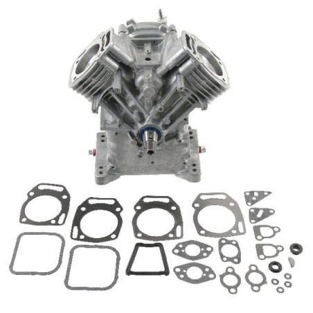 Shortblock BRIGGS ET STRATTON 496240