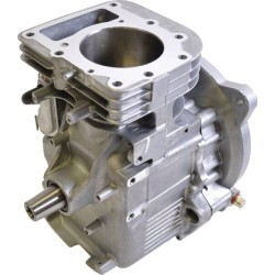 Bloque BRIGGS ET STRATTON 494056