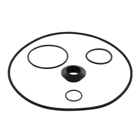 Dichtungsring Jet 151 Satz DAB PUMPS R00005242