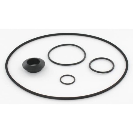 Anello di tenuta Jet 251 set DAB PUMPS R00005252