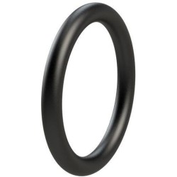 O-ring UNIVERSAL OR165VP001