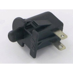 Interruptor AYP FGP456282