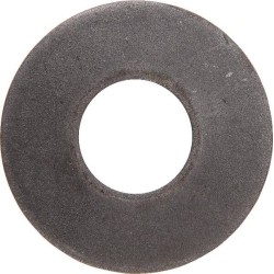 Scheibe SNAPPER 1735840