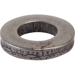 Rondelle AGRIA AGW464087