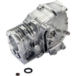 Cylinder BRIGGS ET STRATTON 592645