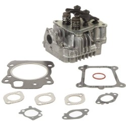 Culasse BRIGGS ET STRATTON 592175