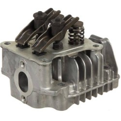 Culasse BRIGGS ET STRATTON 592175