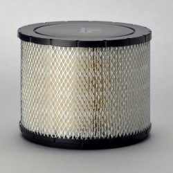 Filtre à air DONALDSON P181107