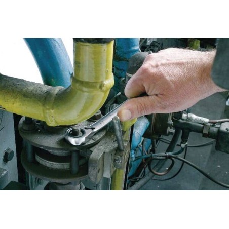 Key pawl combination EXPERT E113309