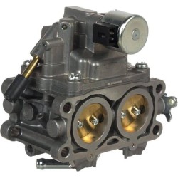 Carburettor BRIGGS ET STRATTON 844370