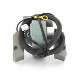Bobine d'allumage 298502 - 395488 - 697036 BRIGGS et STRATTON