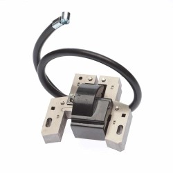 Bobina accensione 492341 - 495859 - 490586 - BRIGGS et