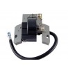 Zündspule BRIGGS et STRATTON 395489 - 397316 - 398493 -